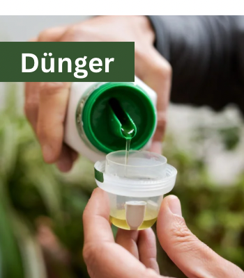 Dünger