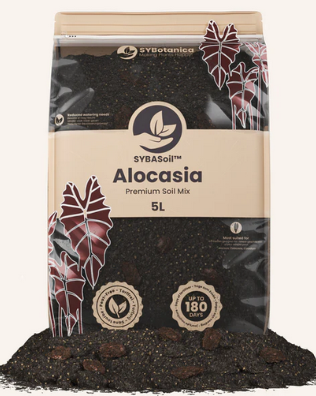 SYBotanica Alocasia Mix