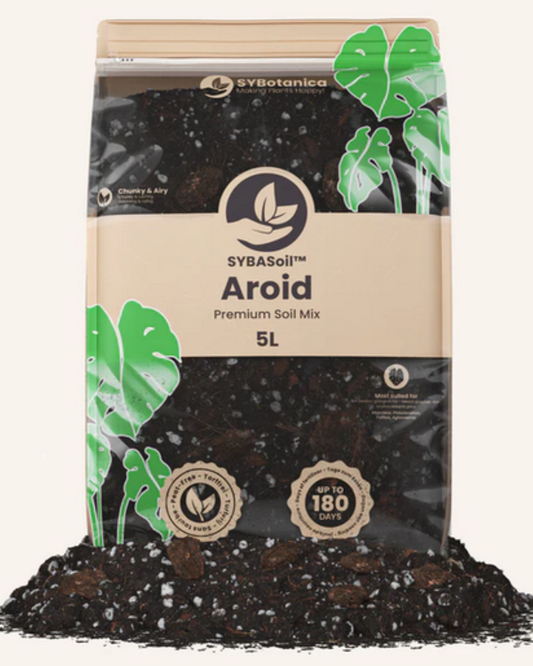 SYBotanica Aroid Mix