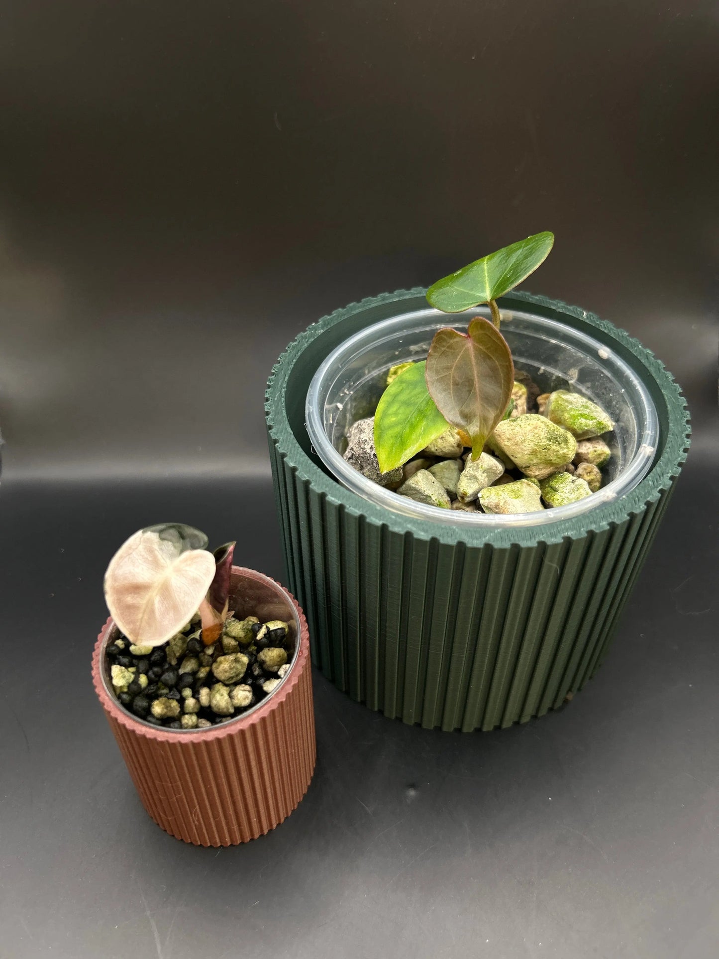 Übertopf für runde Pflanztöpfe - annikas_plantland