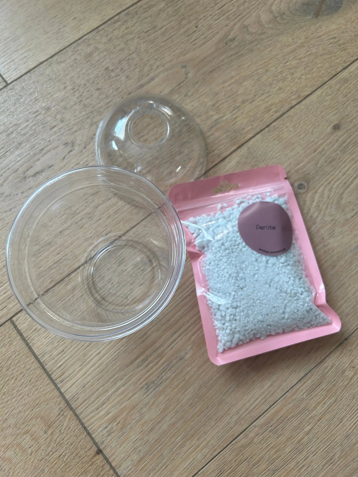 Anzuchtset TC-Pflanzen - annikas_plantland