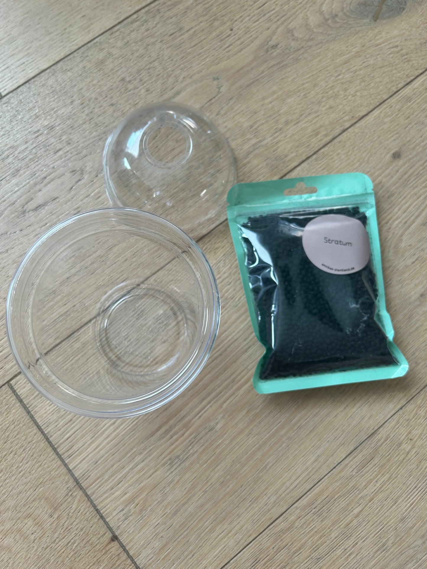 Anzuchtset TC-Pflanzen - annikas_plantland