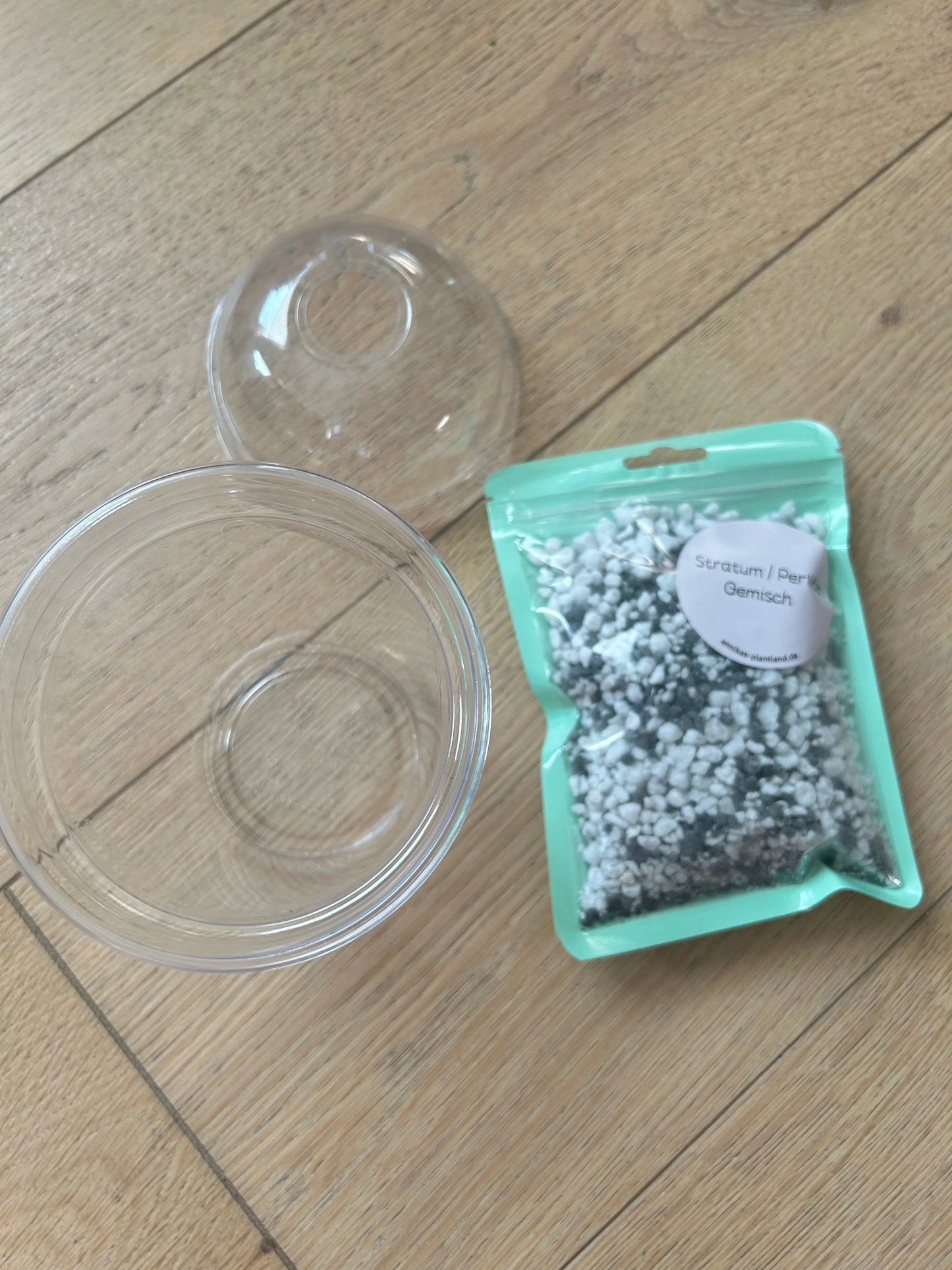 Anzuchtset TC-Pflanzen - annikas_plantland