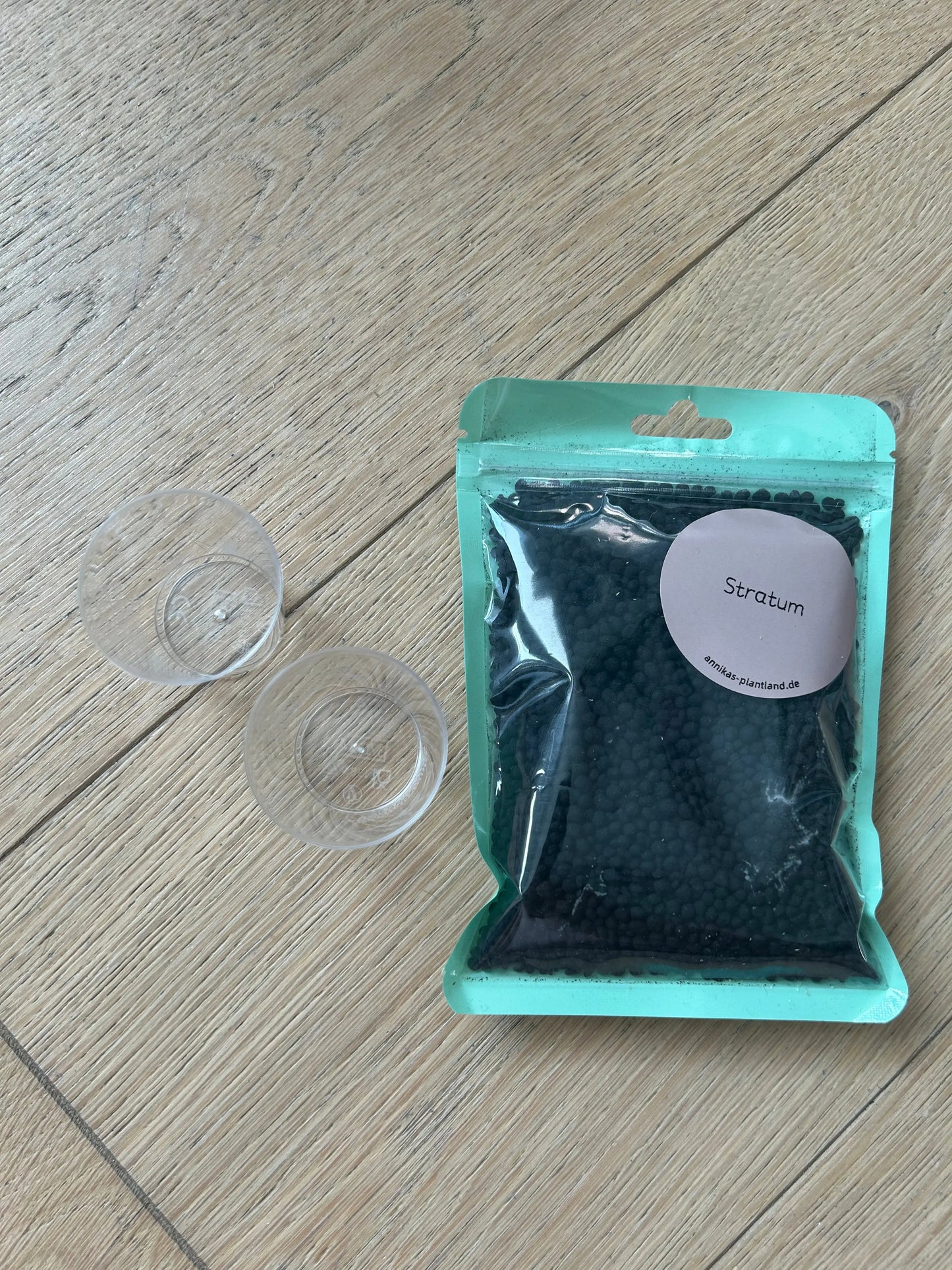 Anzuchtset Rhizome - annikas_plantland