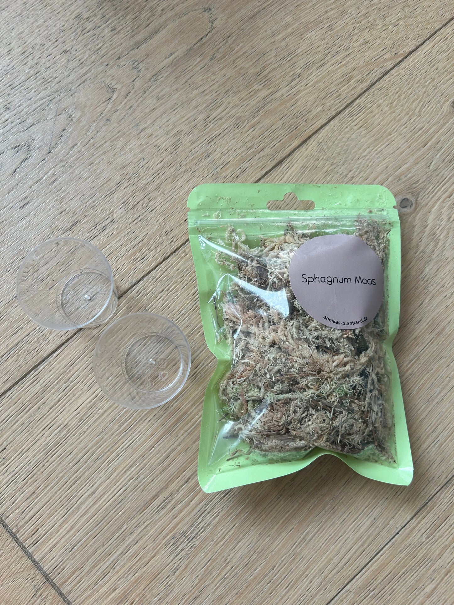 Anzuchtset Rhizome - annikas_plantland