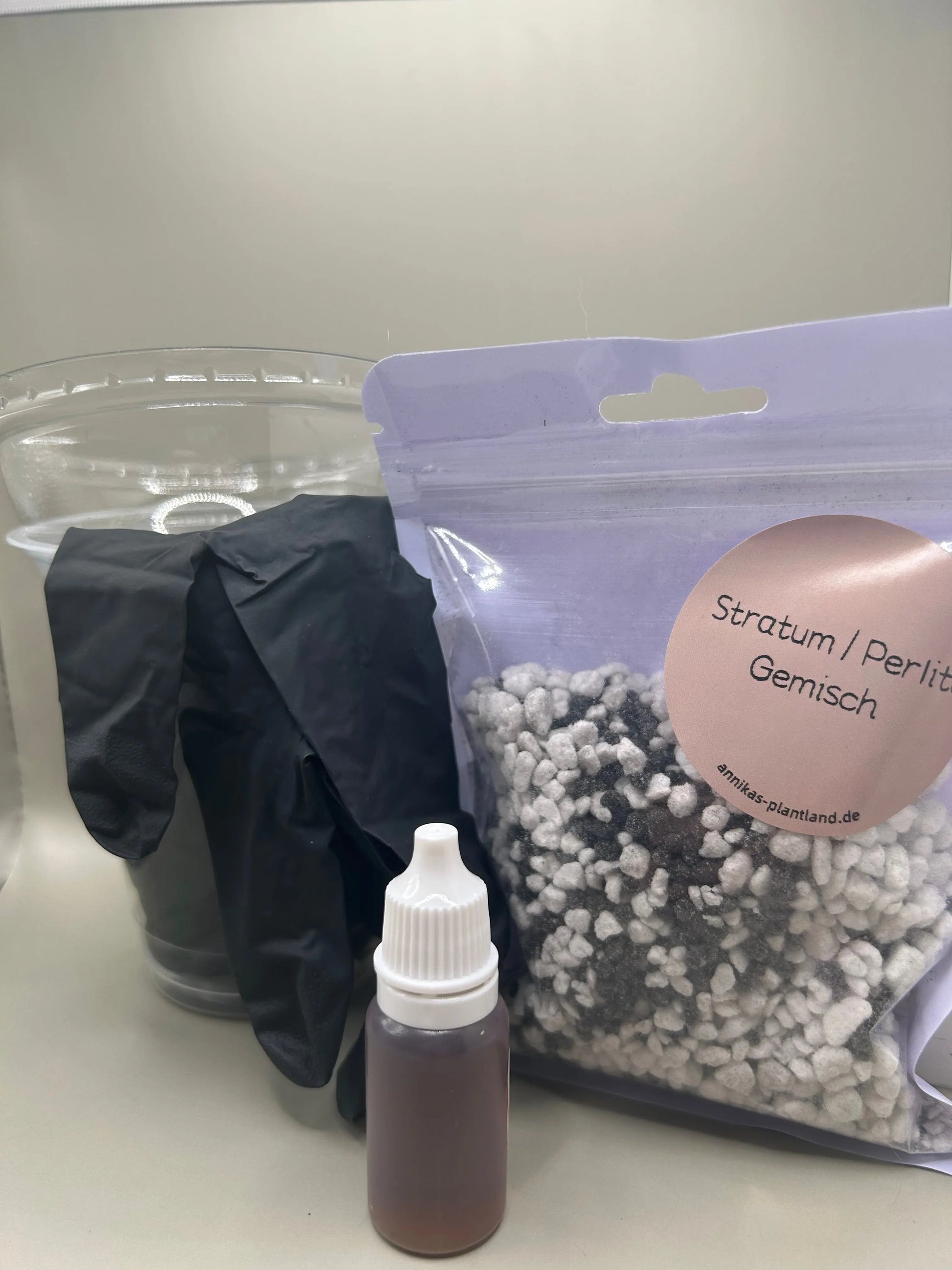 Starterset TC-Pflanzen annikas_plantland